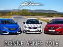 Une heureuse et féline année 2016 !