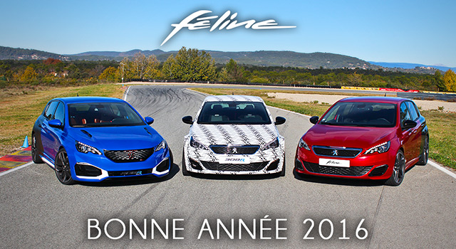 Une heureuse et féline année 2016 !
