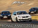 Une heureuse et féline année 2017 !
