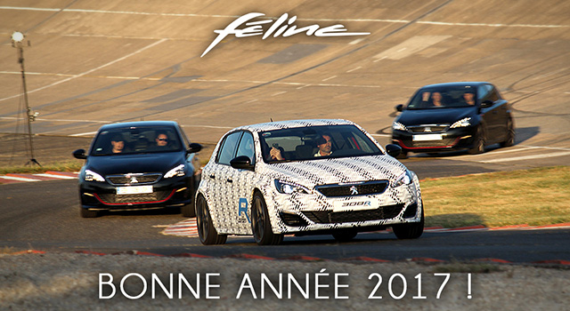 Une heureuse et féline année 2017 !