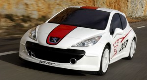 Peugeot 207 RCup Concept