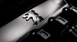 Moteurs Peugeot 207
