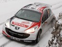 100 Peugeot 207 Super 2000 vendues !