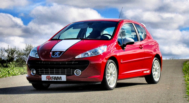 Peugeot 207 Affaire (Commerciale) - Féline