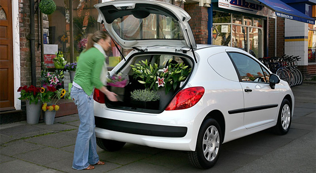 Peugeot 207 Van