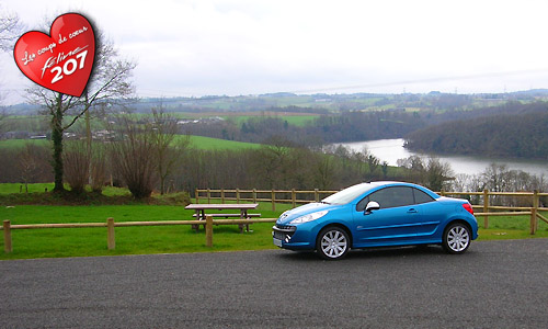 207 CC Féline Bleu Neysha